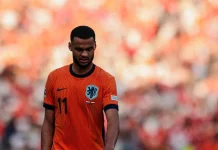 Manchester City blisko transferu Cody’ego Gakpo. Liverpool stawia jeden warunek Holandia - Cody Gakpo 1 | Reprezentacja Holandii