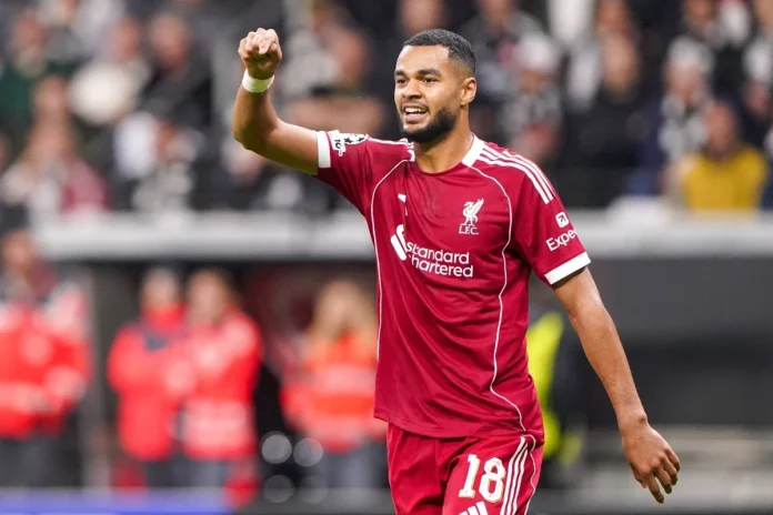 Liverpool - Cody Gakpo 1 Liverpool - Cody Gakpo 1